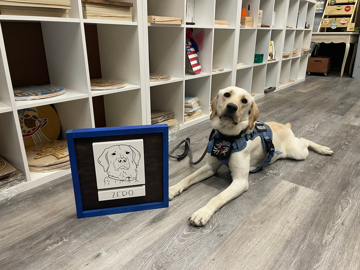 Fur Baby  Workshop - Friday, January 9 6pm