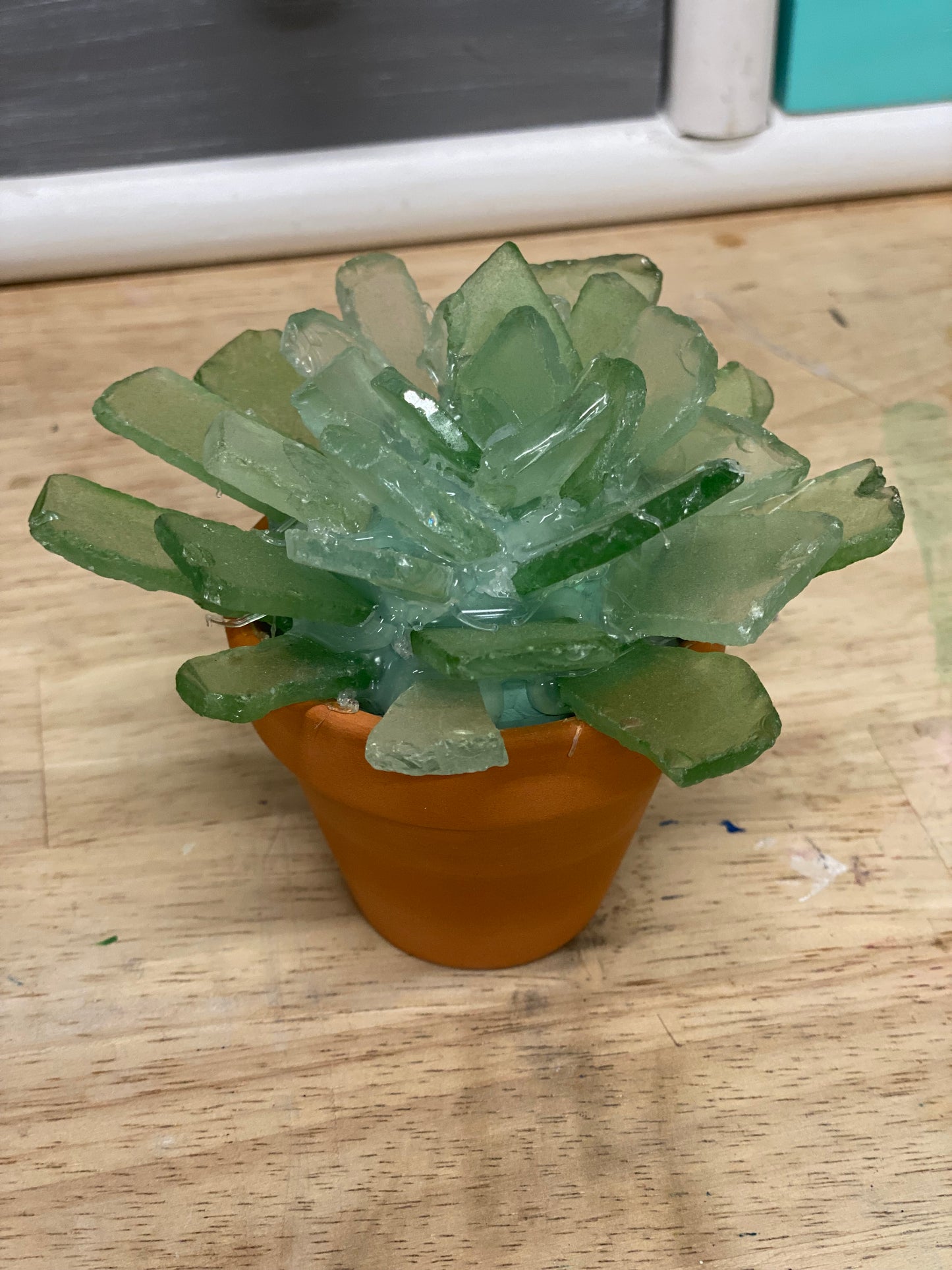 Winter Sea Glass: Saturday 12/13 at 10am