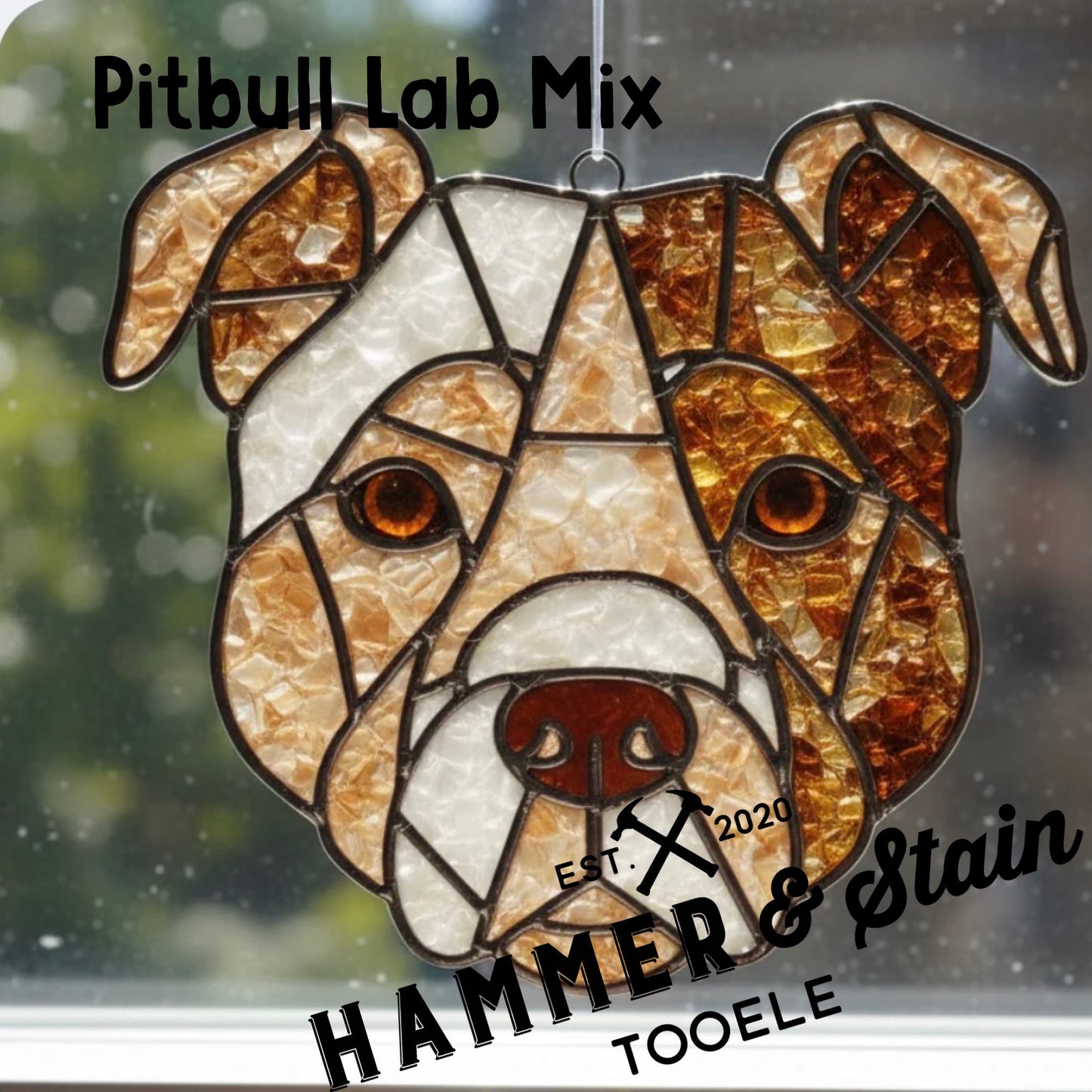 July 18th at 10am Pet Suncatchers