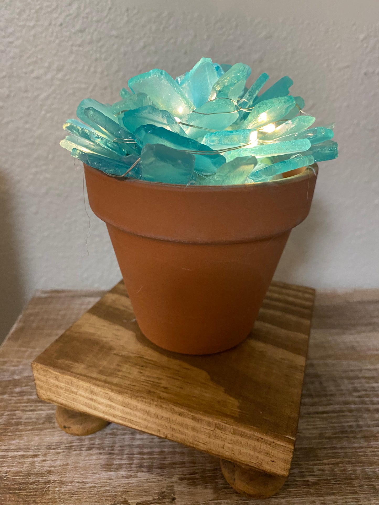 Sea Glass Succulents May 4 @ 6:30pm