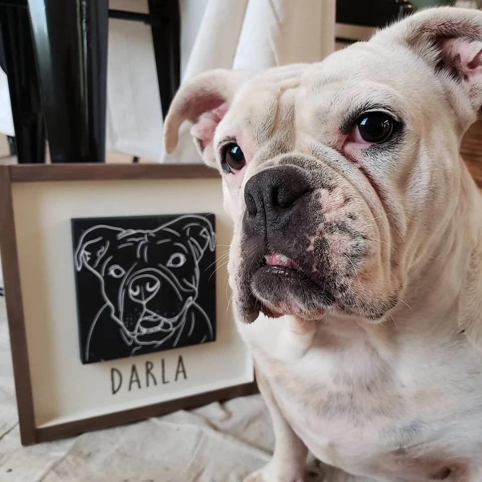 Fur Baby  Workshop - Saturday, July 19th at 10am